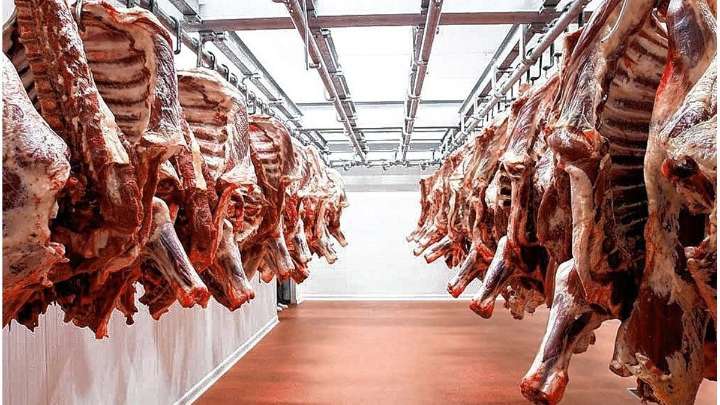 Afirman que el precio de la carne seguirá en alza tras suba de 15%