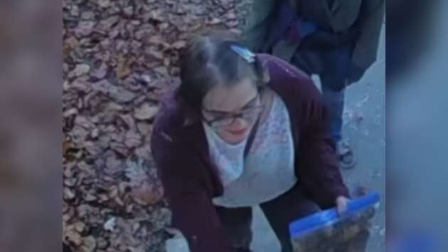 Just Google’ me: ‘Slender Man’ stabbing assailant Morgan Geyser allegedly told cops who caught her