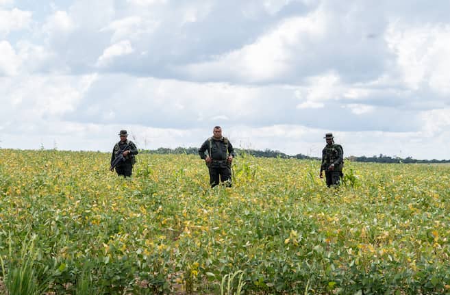 Pacto de no agresión y una mesa de paz: la estrategia de “Calarcá” para fortalecer su poder