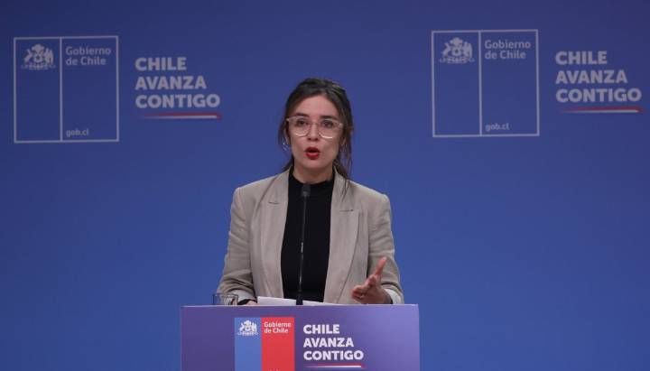 Vallejo dice que la acusación constitucional contra Pardow busca instalar que faltó a la Constitución por "no hacer un punto de prensa"