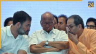 Bihar defeat sparks big Congress decision in Maharashtra, blow to Pawar and Uddhav camp, decides to…