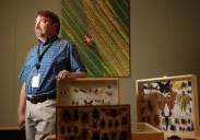 The science behind the fight against invasive fruit flies in the Bay Area