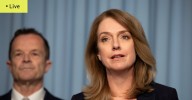 NSW Liberal leadership LIVE updates: Kellie Sloane frontrunner to lead party after Mark Speakman steps down