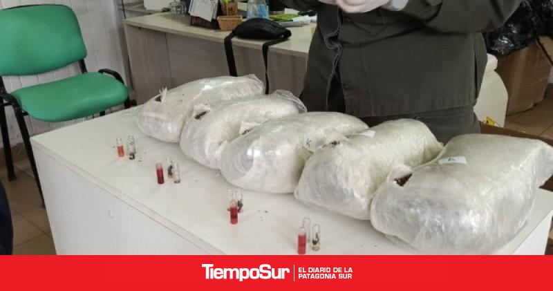 Río Gallegos Gendarmería secuestró 20 kilos de marihuana y detuvo a una mujer