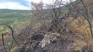 Incendio forestal en San Miguel de Sema tendría como causa la quema de pañales y basura, según la CAR