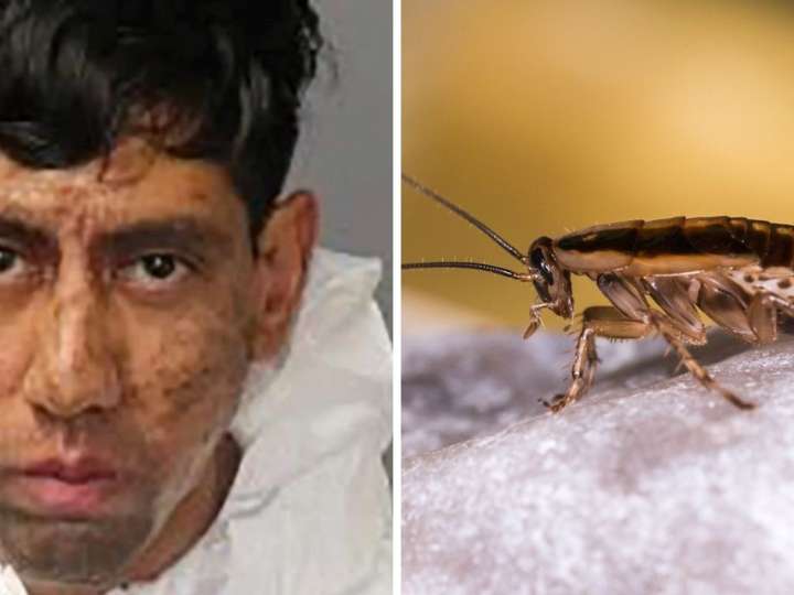 Mató a dos hombres y dijo que recibió la orden de una cucaracha: "Tenía que hacer lo que tenía que hacer”