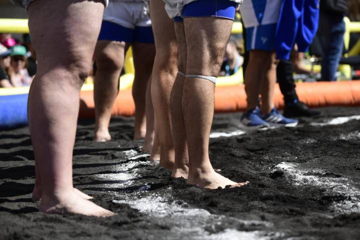 En una apretadísima síntesis