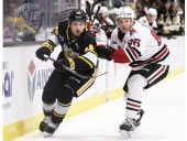 Sarnia Sting's skid hits five games with loss to Guelph Storm