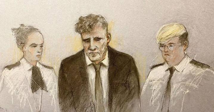 Paul Doyle: Everything you need to know after dad admits series of parade crash offences