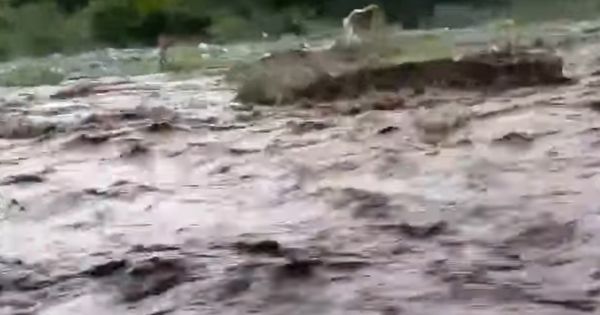 Tragedia en el norte: una madre y su hijo murieron arrastrados por la crecida de un río