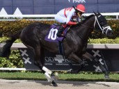 Bentornato apunta al Riyadh Dirt Sprint