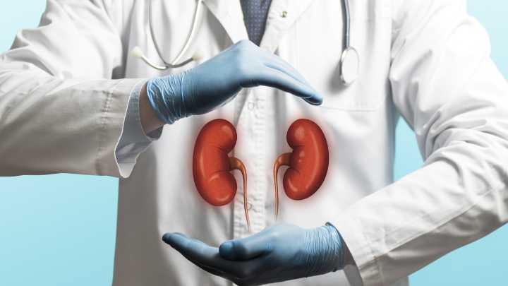 Piedras en los riñones: causas, síntomas y claves para prevenir los dolorosos cálculos renales