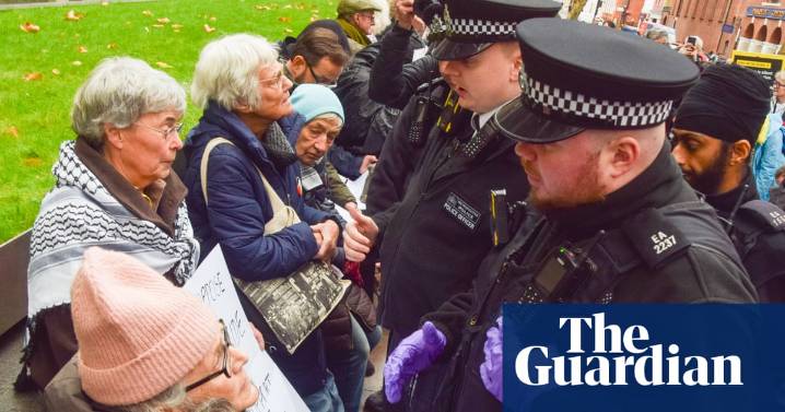 Removal of judge in Palestine Action ban legal challenge ‘deeply concerning’