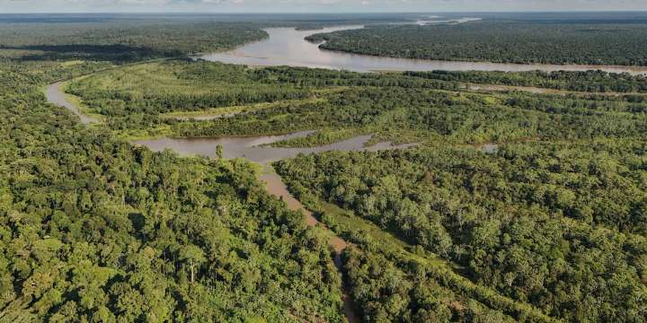 COP30 en la Amazonía: qué se definió en las primeras jornadas y cómo seguirá la cumbre climática
