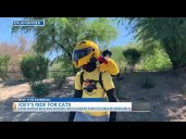 Ohio native raising money for cat health research