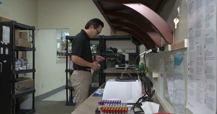 Veterinary bills are rising, but so are the chances your pet will survive