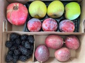 Good Taste: Perfect gifts for the food