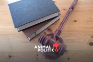 Hijos mayores podran recuperar ahorros de familiar fallecido sin ser dependientes económicos