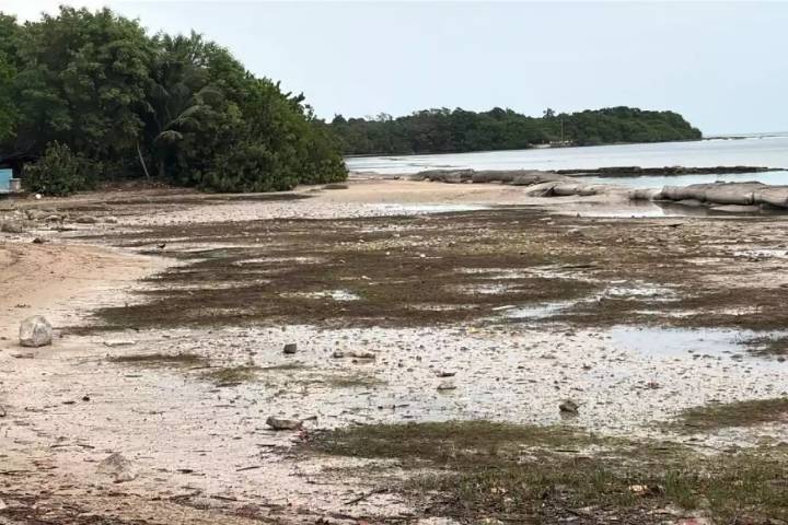 Frente Frío 13 provoca retiro del agua de la Bahía de Chetumal