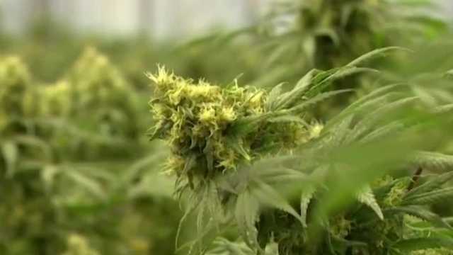 How hemp farms are impacted by new federal restriction