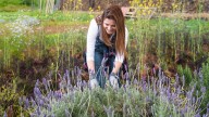 Prepare Your Lavender Plants For Winter With One Simple Addition To The Soil