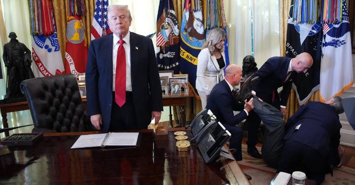 Photos of the Week: Dinosaur Sweater, Miniature Park, Hippo Calf