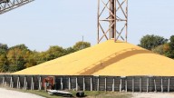 Iowa farmers urged to file loss claims in Omaha grain dealer bankruptcy