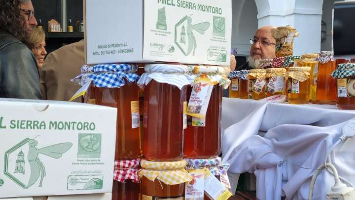 Apicultores andaluces en pie de guerra contra el "timo de la miel"