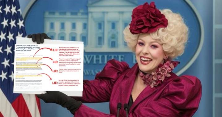 Gavin Newsom Roasts Karoline Leavitt With a Brutal ‘Hunger Games’ Meme