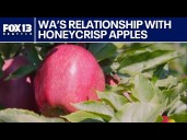 Washington's rocky relationship with the honeycrisp apple