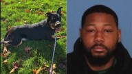 Gresham Man Accused of Making Up Violent Robbery After Video Reveals He Was Abusing His Dog