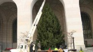 Downtown Pittsburgh's Christmas tree ready for Light Up Night