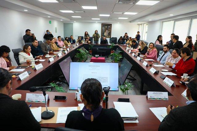 Los Concejos de las Alcaldías de nada sirven: experto