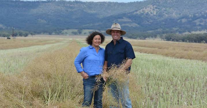 The Triangle's winning canola crop aims for high yields at Premer