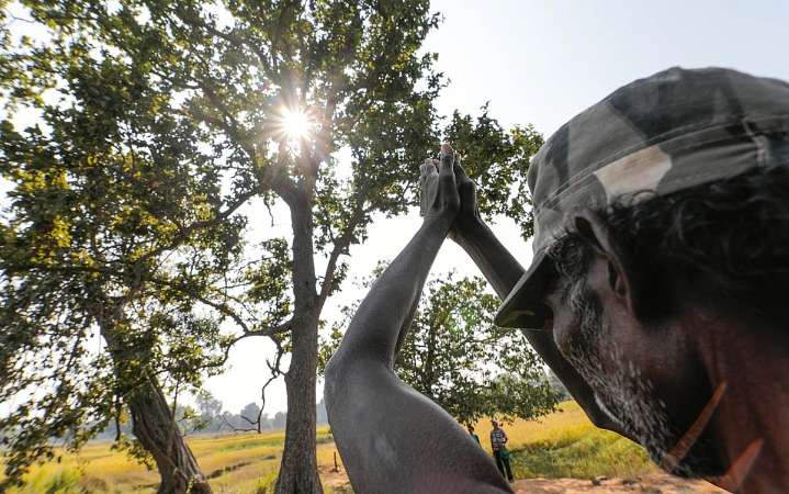 Declare Saranda Forest as wildlife sanctuary within 90 days, SC directs Jharkhand