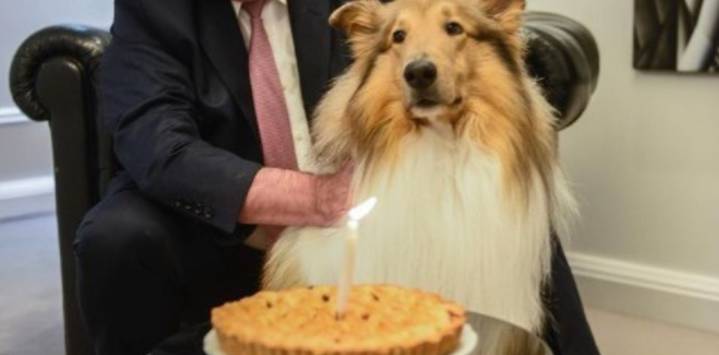 Murió Dylan, el perro de Alberto Fernández: "Seguramente volveremos a encontrarnos"