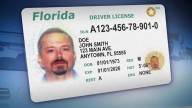 Florida lawmaker proposes bill that seeks to end sale of driver license data to private companies