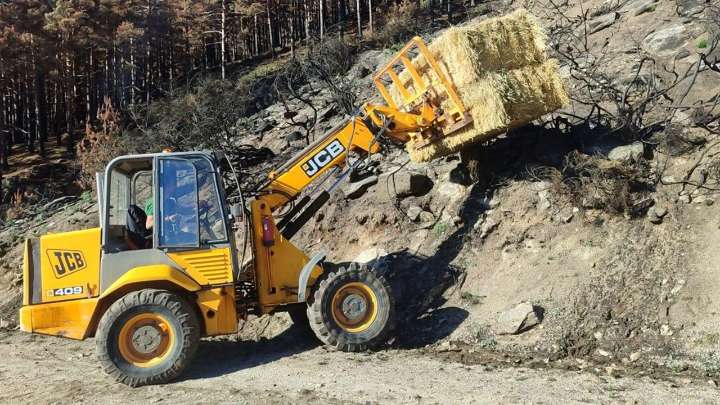 La Junta avanza en la ejecución de actuaciones de emergencia y del resto del plan de restauración tras los grandes incendios forestales con una inversión de más de 16 millones