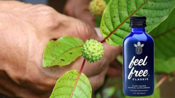 What Are Kratom And Kava, The Controversial Ingredients In ‘Feel Free’ Drinks?