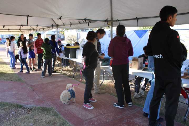 Brindó Municipio 430 servicios a mascotas en la Insurgentes 