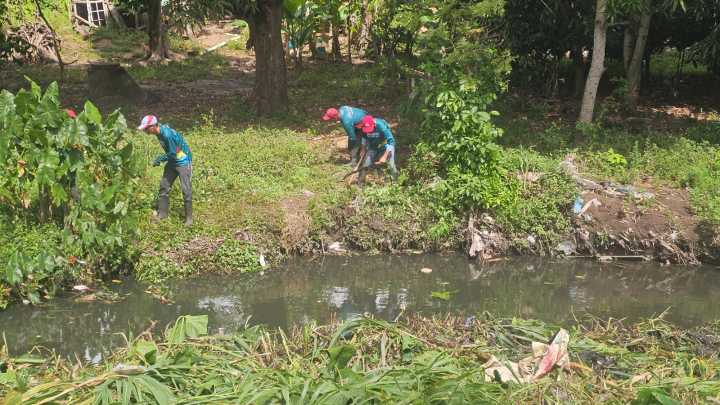 Ejecutan saneamiento de los caños José Antonio Páez y Bella Vista
