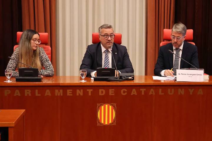 La CUP pide la comparecencia en el Parlament del testigo protegido del 'caso DGAIA' de pagos irregulares en el servicio de atención a jóvenes ex tutelados de la Generalitat