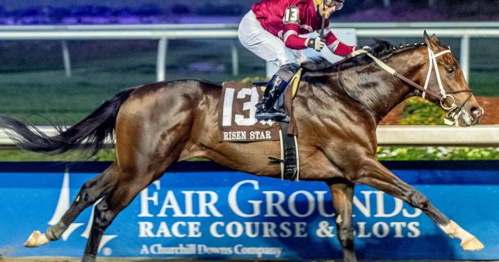 Fair Grounds 2025-2026 meet preview: 5 horses to watch