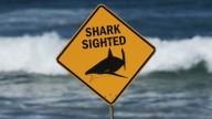 A shark kills a woman and seriously wounds another swimmer at an Australia beach