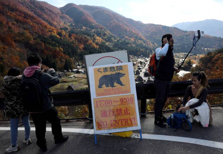 Japanese tourist village battles to keep bears at bay