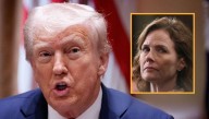 Trump Demands Investigation Into Whoever Nominated Amy Coney Barrett
