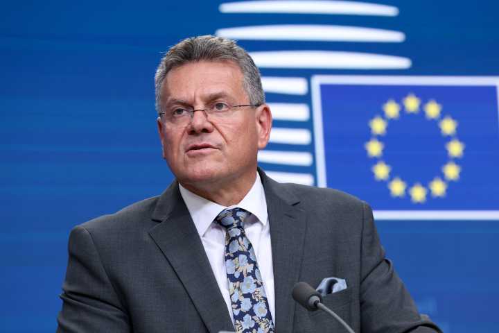 Brussels unsure India deal can land this year despite progress