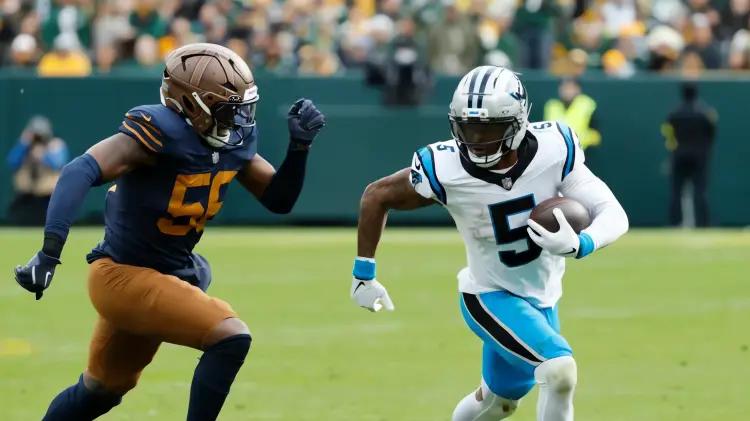 Panthers de Carolina rompen racha de Packers con victoria de 16-13 gracias a Johnson y Fitzgerald