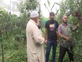 J-K: Rajouri farmers make major shift from traditional cereal crops to ultra-high-density fruit farming under horticulture revolution
