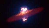 SN 2024ggi: Earliest Detailed Observations Of A Star Exploding Show True Shape Of A Supernova